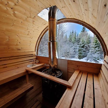 Chalet De Martimprey - Chalets - Gites - Chambres D' Hotes Et Spasジェラールメ エクステリア 写真
