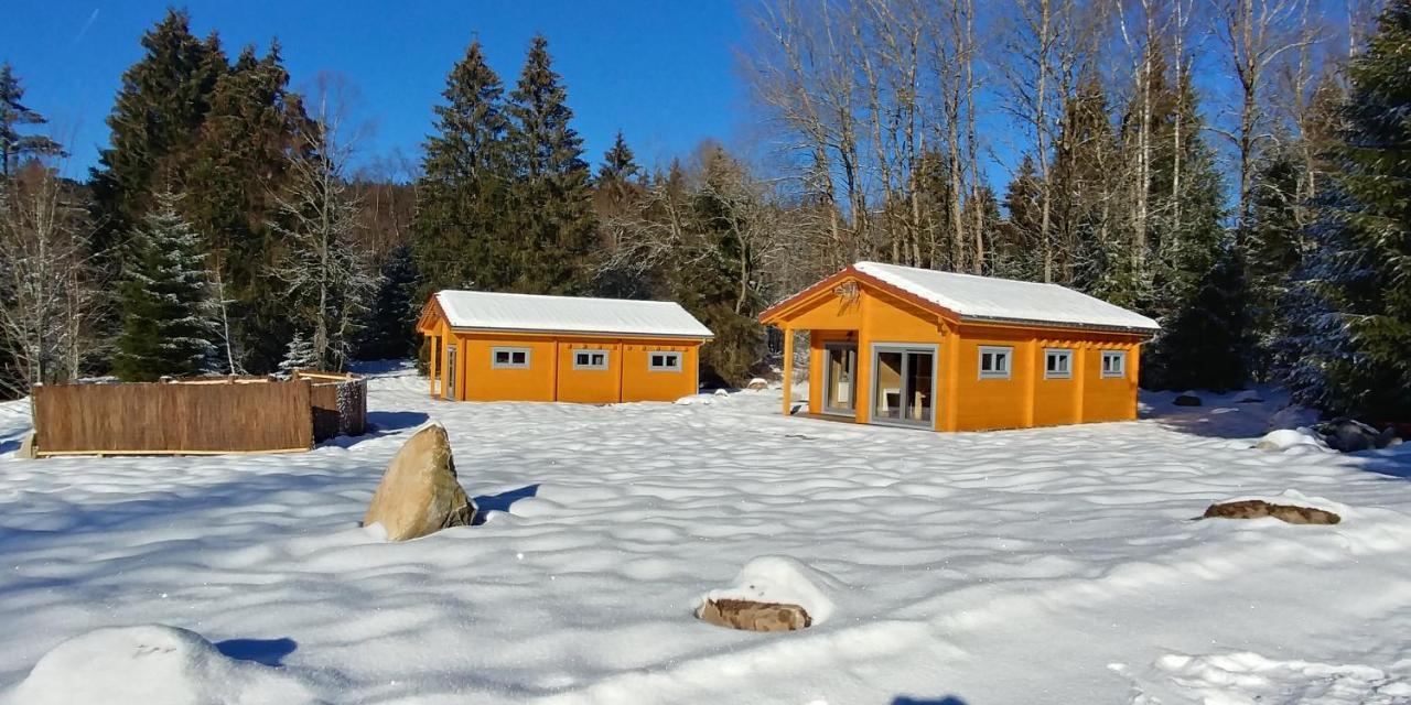Chalet De Martimprey - Chalets - Gites - Chambres D' Hotes Et Spasジェラールメ エクステリア 写真