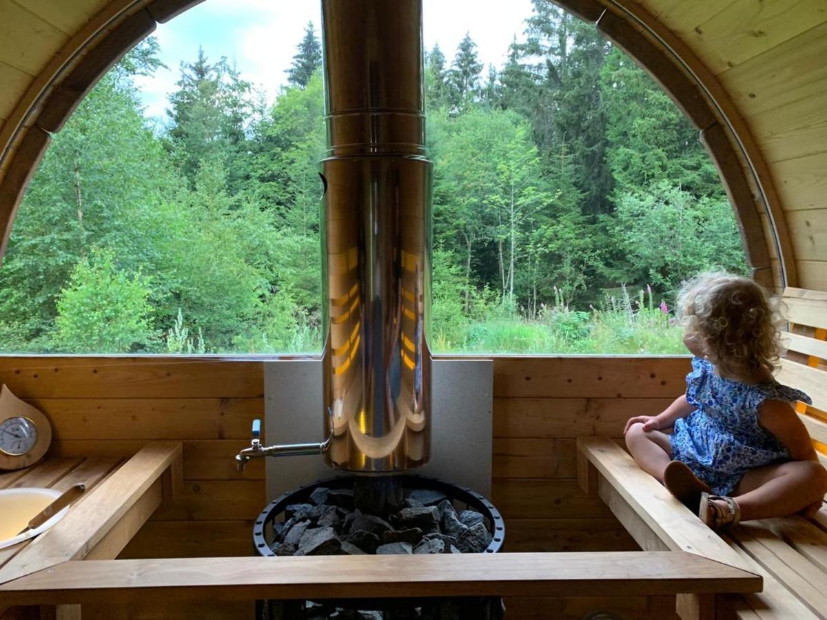 Chalet De Martimprey - Chalets - Gites - Chambres D' Hotes Et Spasジェラールメ エクステリア 写真